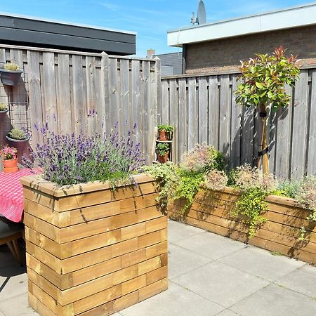 Zoutelande Koddelaan Vakantiewoning 외부 사진