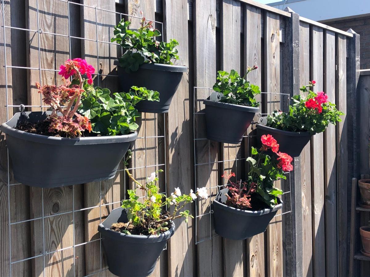 Zoutelande Koddelaan Vakantiewoning 외부 사진