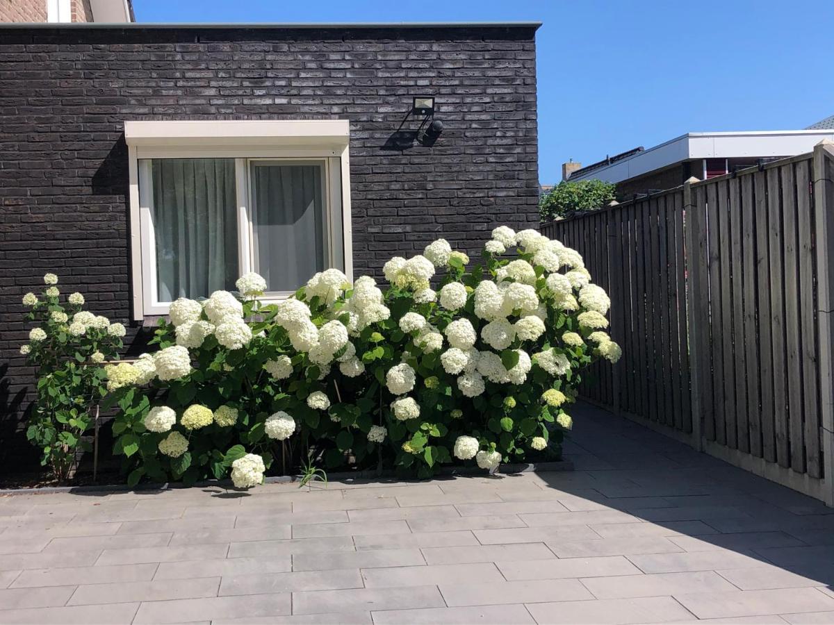 Zoutelande Koddelaan Vakantiewoning 외부 사진