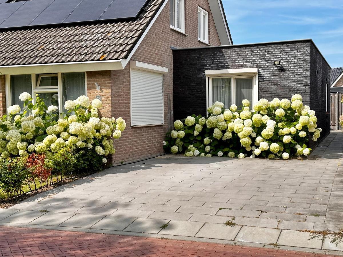 Zoutelande Koddelaan Vakantiewoning 외부 사진