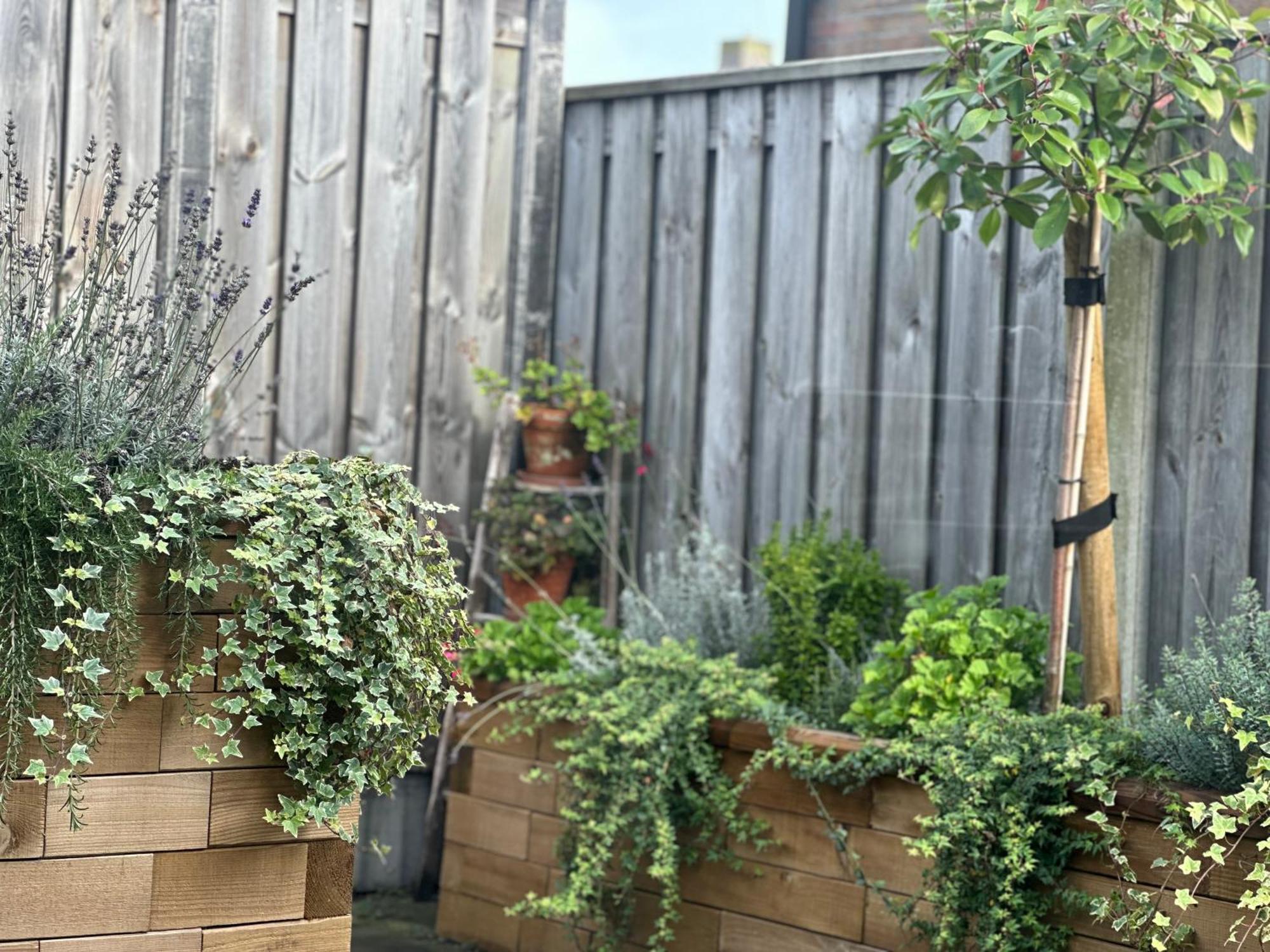 Zoutelande Koddelaan Vakantiewoning 외부 사진