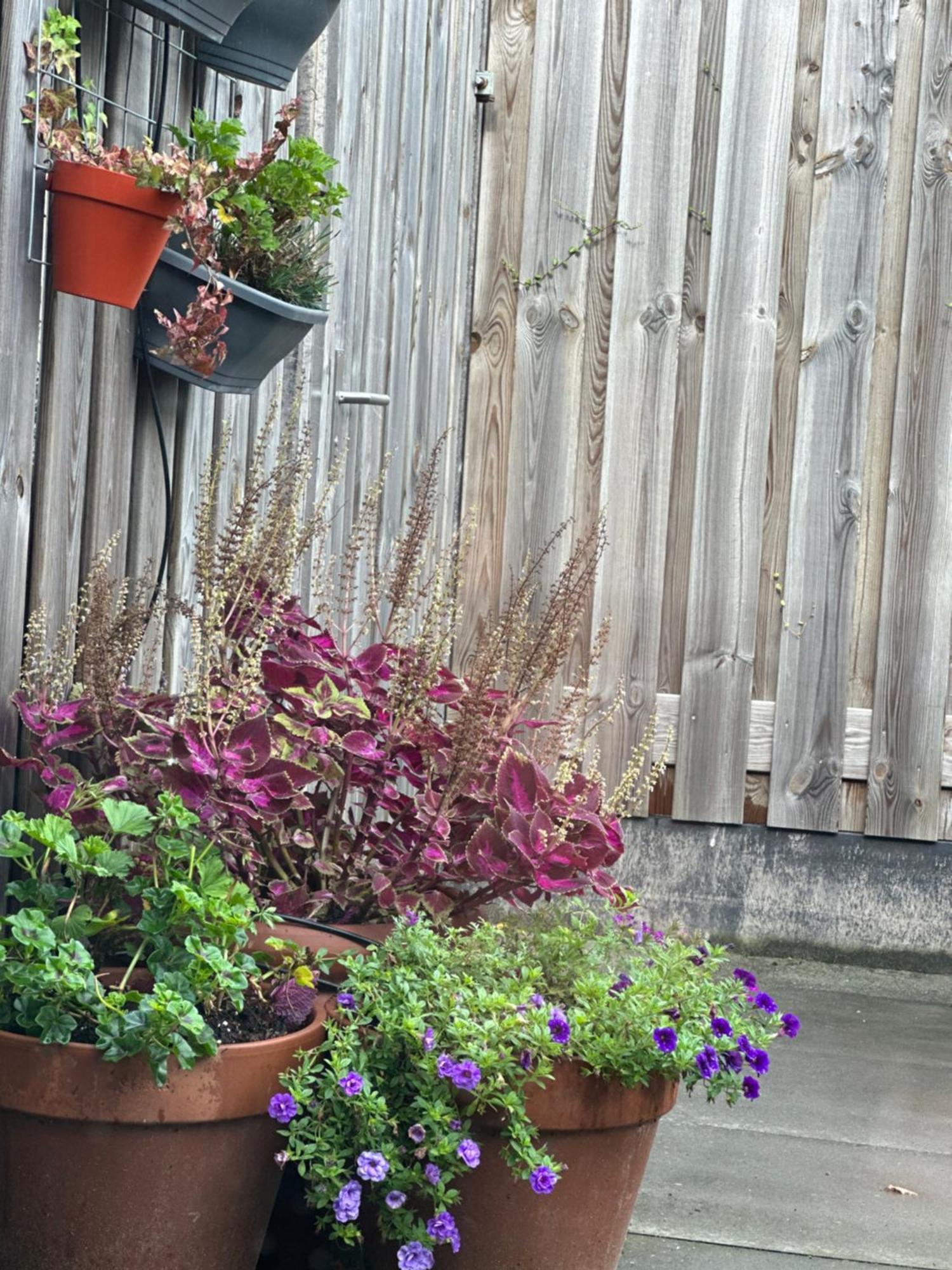 Zoutelande Koddelaan Vakantiewoning 외부 사진
