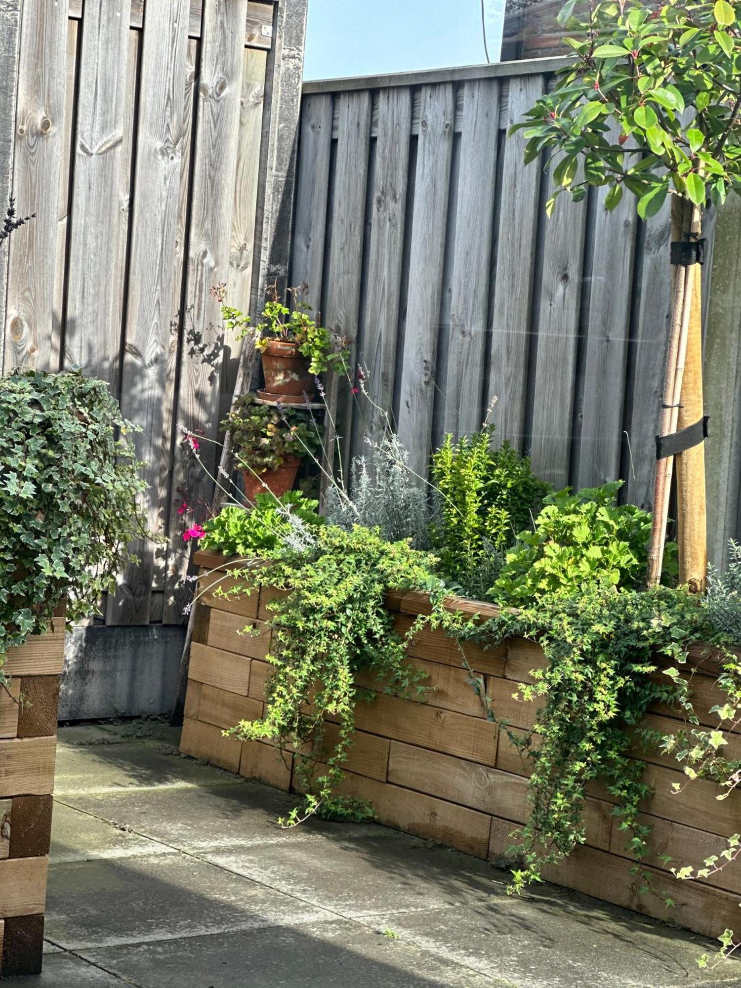 Zoutelande Koddelaan Vakantiewoning 외부 사진