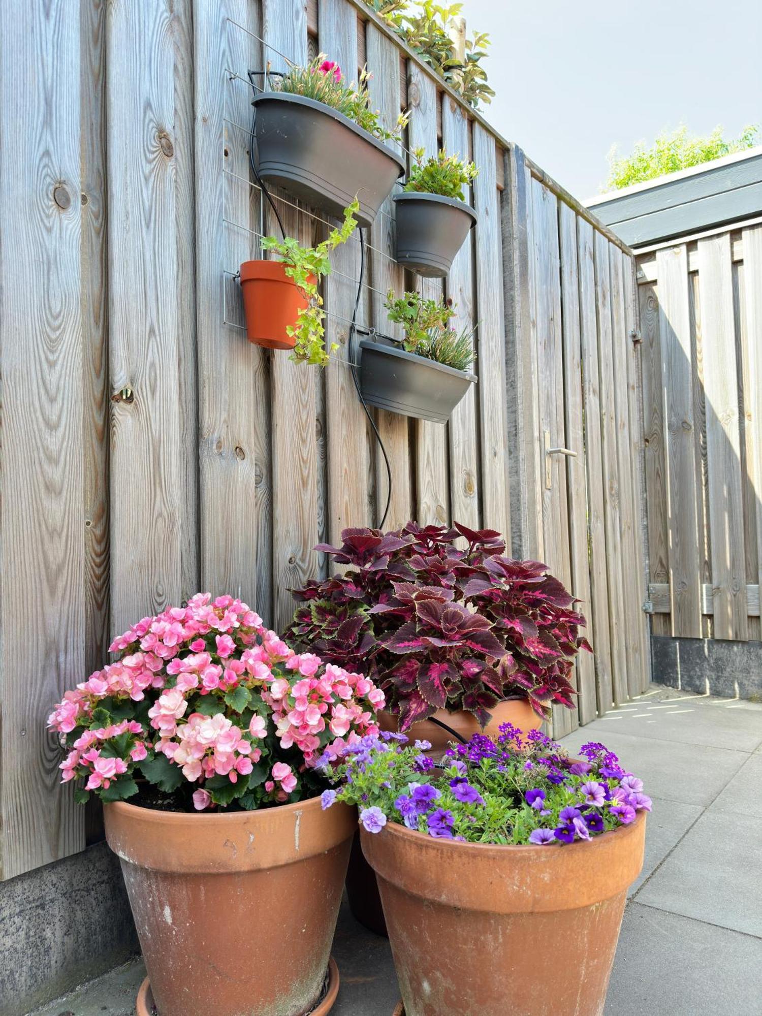 Zoutelande Koddelaan Vakantiewoning 외부 사진
